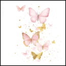 Butterfly.mov