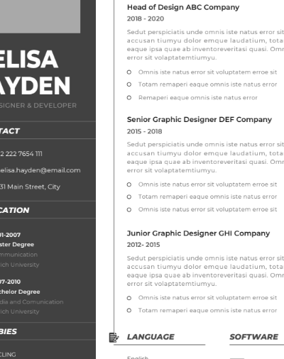 Professional CV Resume Vol.3
