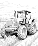 295 Country Life