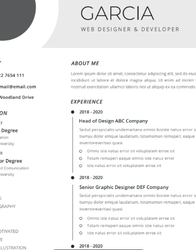 Professional CV Resume Vol.28