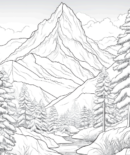 344 Winterland
