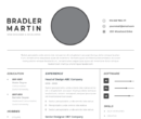 Professional CV Resume Vol.7