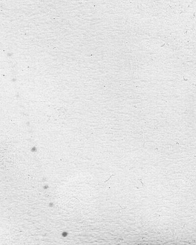 scan6