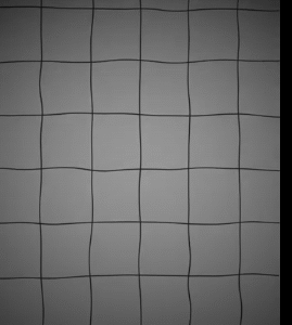 White grid.mp4