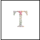 T.mov