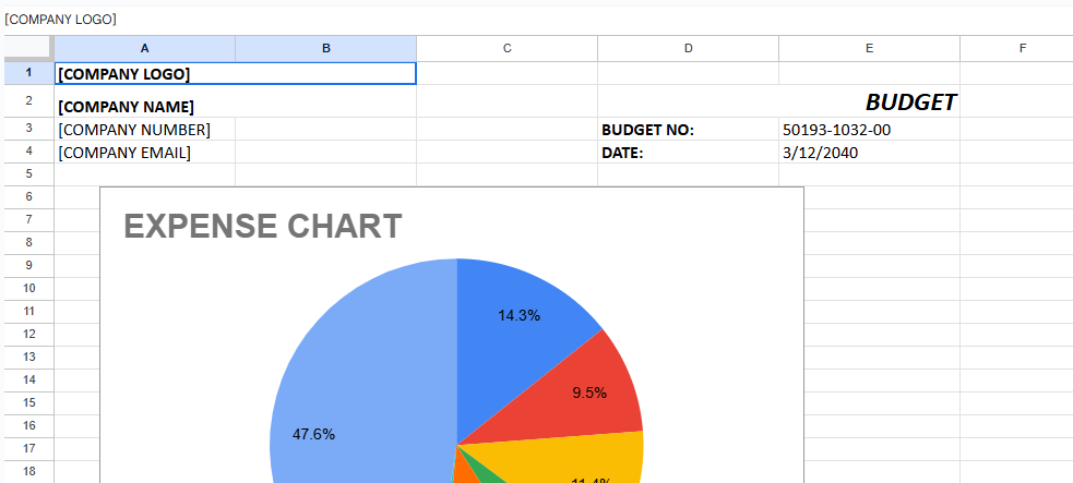 Budget Template With Charts.xlsx