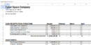 Free Cashflow Planning Template.xlsx