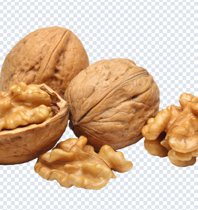 walnut_png
