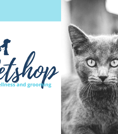 PET Set 11